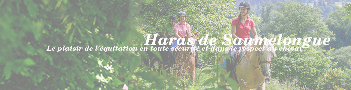 Haras de Saumelongue